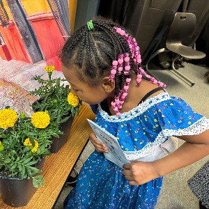 Student smelling marigolds.