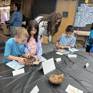 Students look at an African drum.