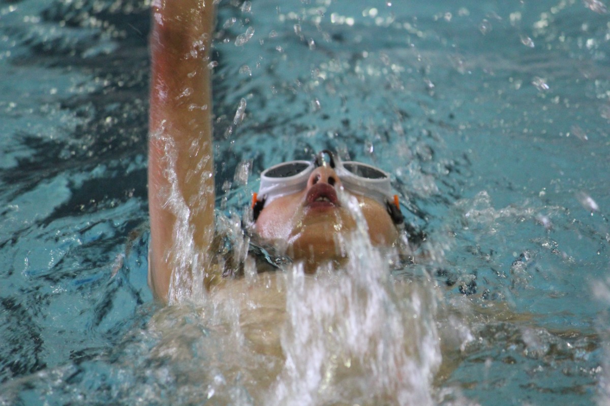 A Timberview swimmer does the backstroke during a meet.
