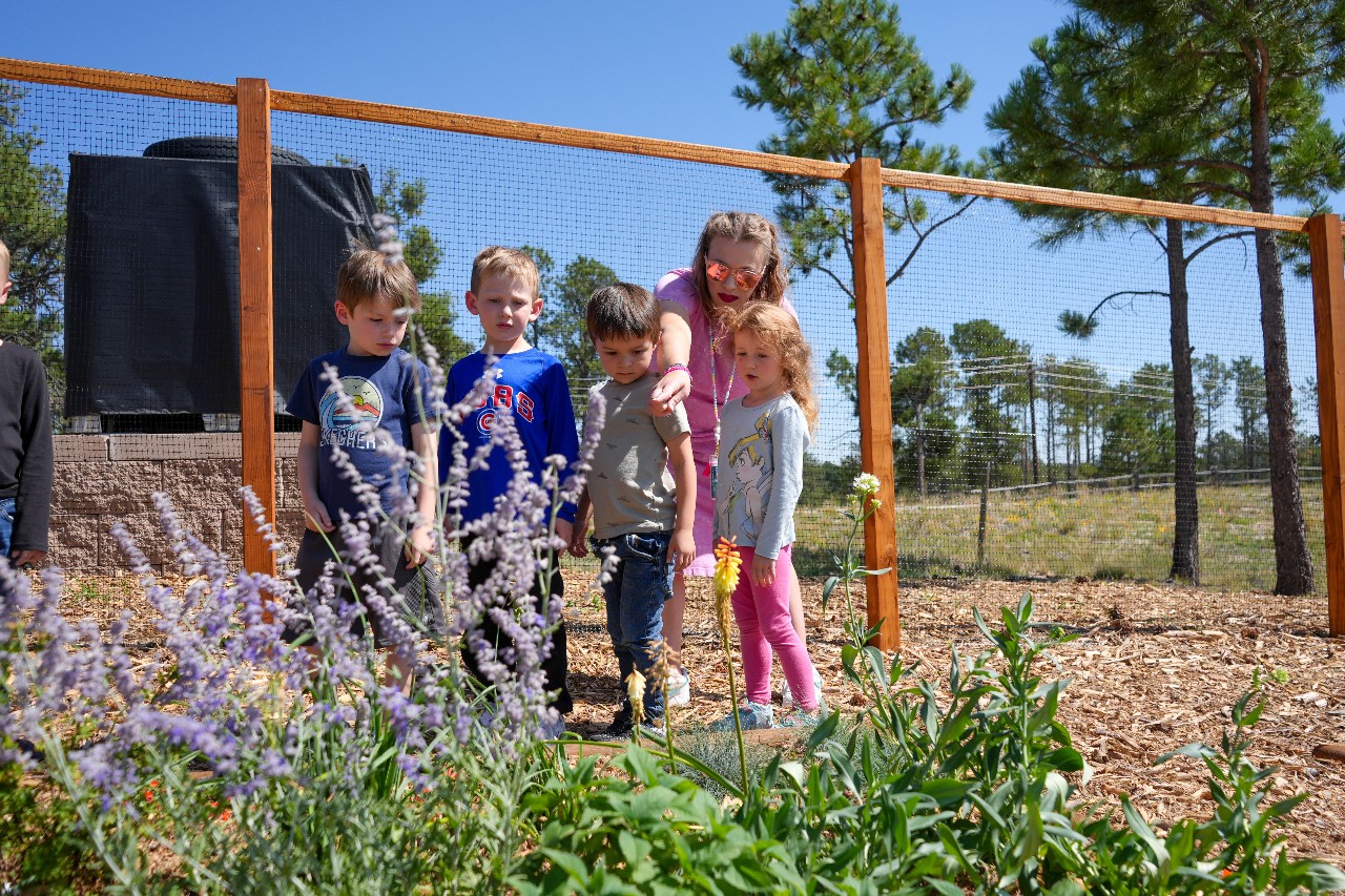 Students look on to the garden