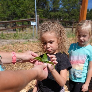 Students observe plants in the new garden