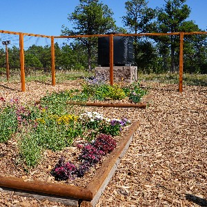 A garden at Edith Wolford Elementary School