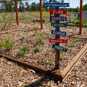 A garden with a sign in it