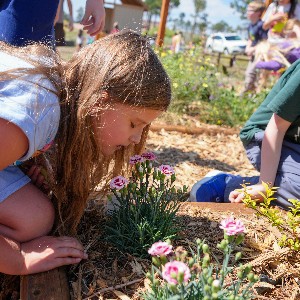 Students smell flowers