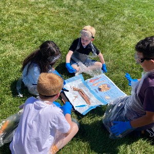 Students dissecting squid