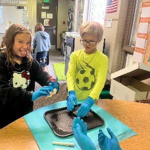 Students dissecting a brain 