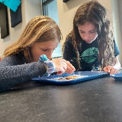 Students inspecting a cookie with toothpicks