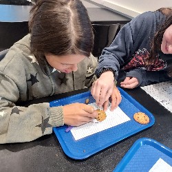 Students inspecting a cookie with toothpicks