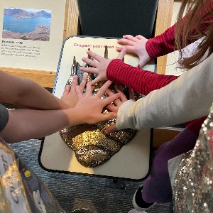 Denver Museum of Nature and Science