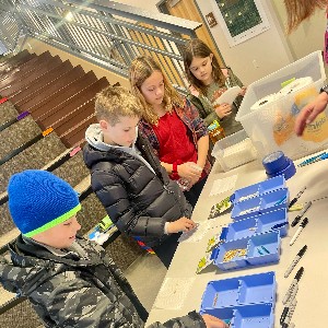 School in the Woods students experimenting with various vegetable seeds during a lesson.