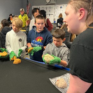 Students getting to look at real brains 
