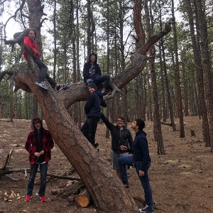 Students posing in a tree that they climbed on