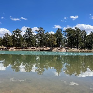 The lake at Fox Run Park with Trees
