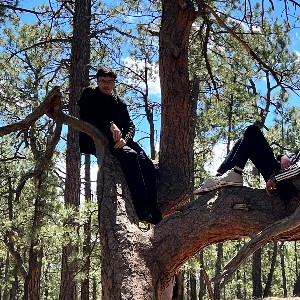 Students hanging out in a tree