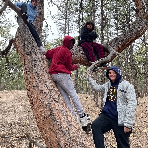 Students in a tree