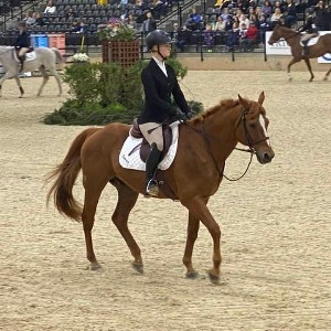 Student on horseback in arena