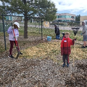 Students spreading mulch