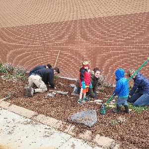 Group spreading mulch