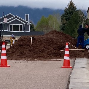 People help shovel mulch