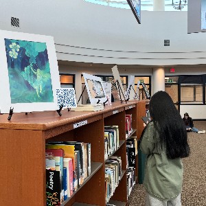 Artwork on top of Library shelves