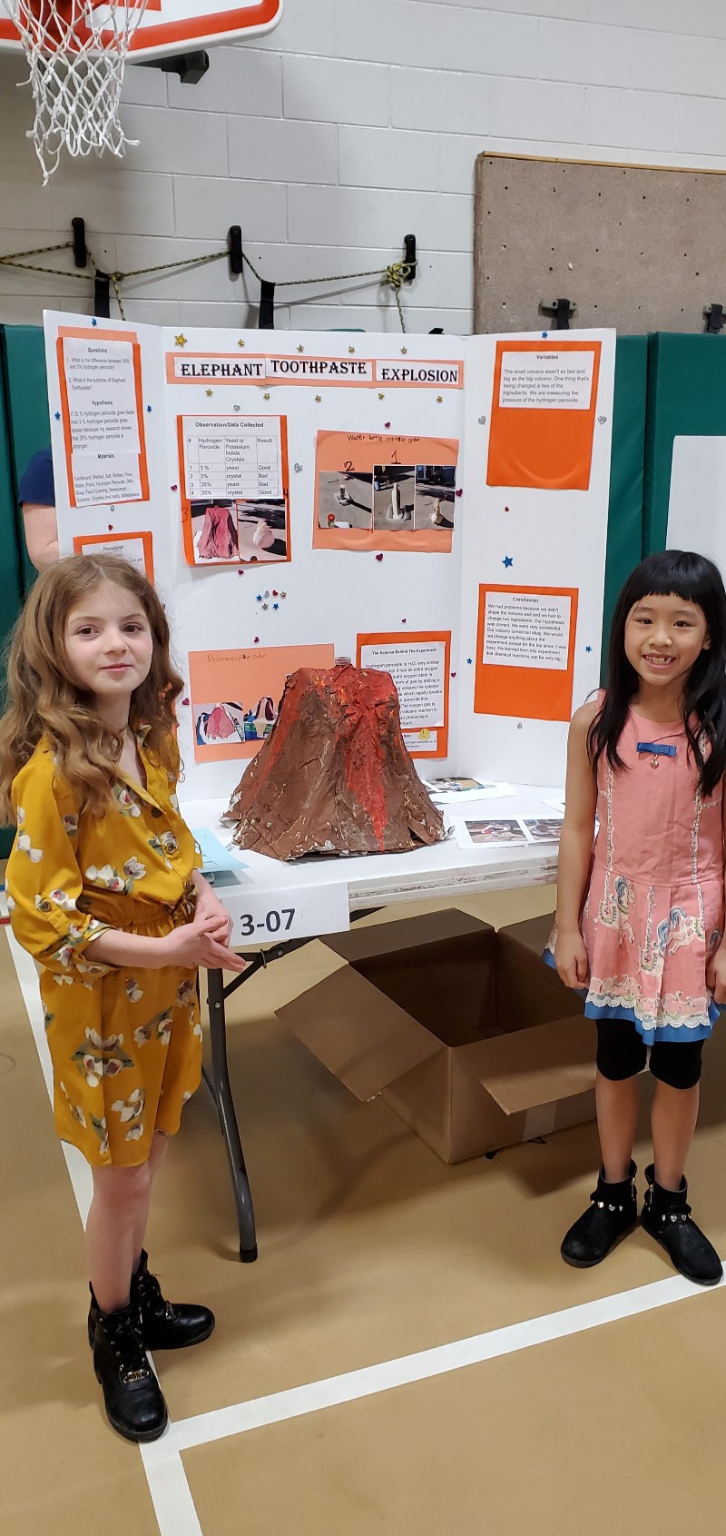 Inquiring Minds on Display at the AIES Science Fair (Updated May 9, 2022)