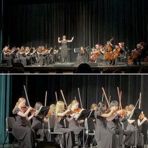 Collage - whole orchestra performing on top, section of the orchestra on the bottom.