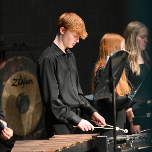 Xylophone player