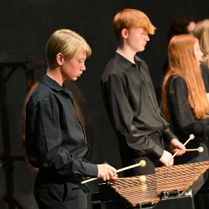 Two xylophone players