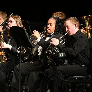 Two French horn players