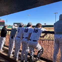 AAHS baseball players lined up in the dugout.