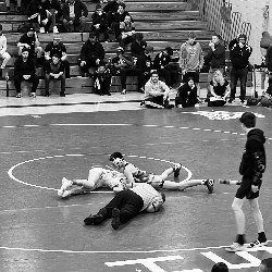 Wrestler, pinning his opponent.