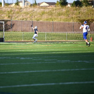 Football player holding ball in the air after touch down