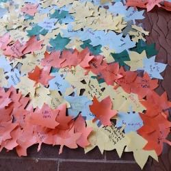 Pictures of the leaves that students have filled out all month of Jan and Feb