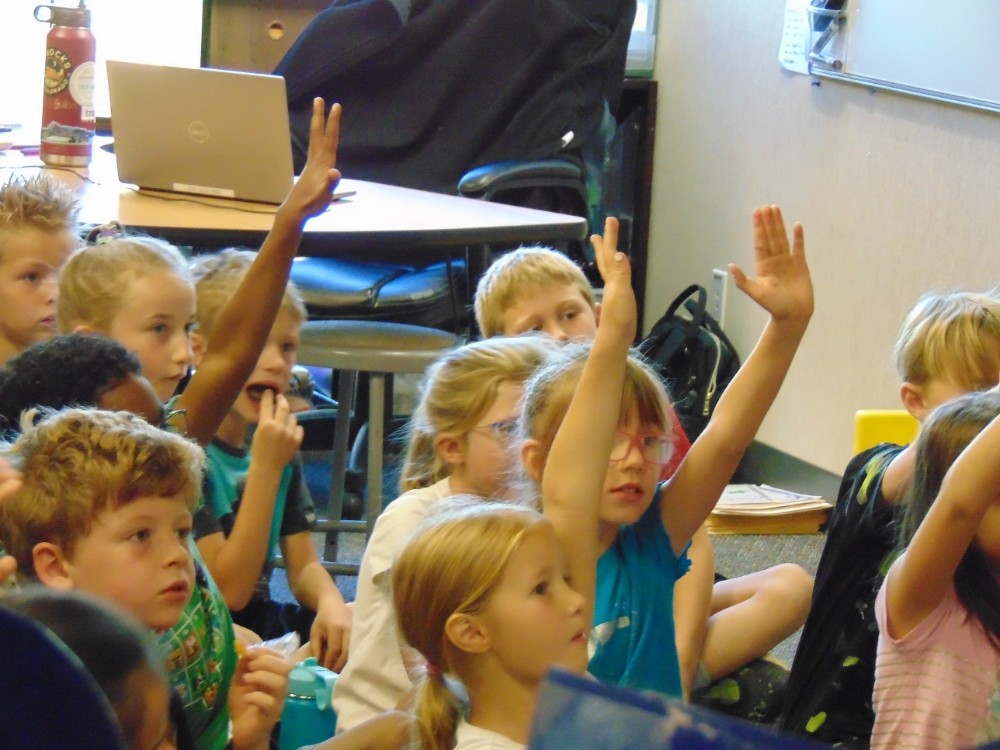 Engaged students raise their hands during classroom instruction.