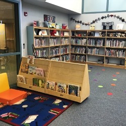 A view of the Antelope Trails library showing rows of books and a reading area.