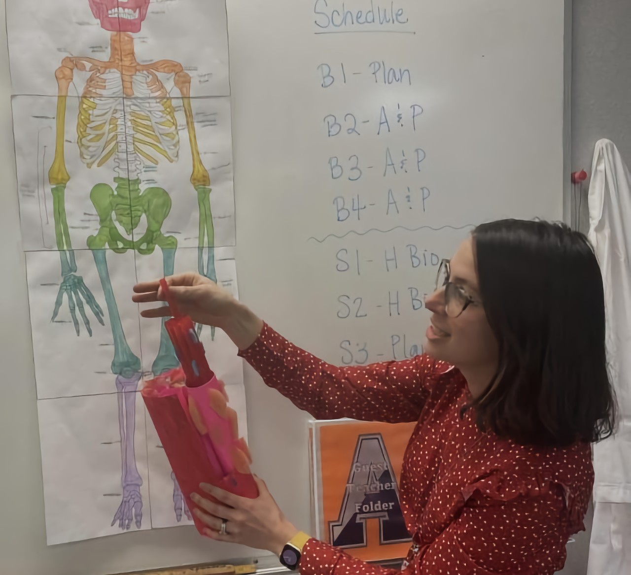 Human anatomy and biology teacher, Alison Kelly, demonstrating the unique features of the body by utilizing her beautifully crafted muscle diagram and multicolored skeletal diagram.