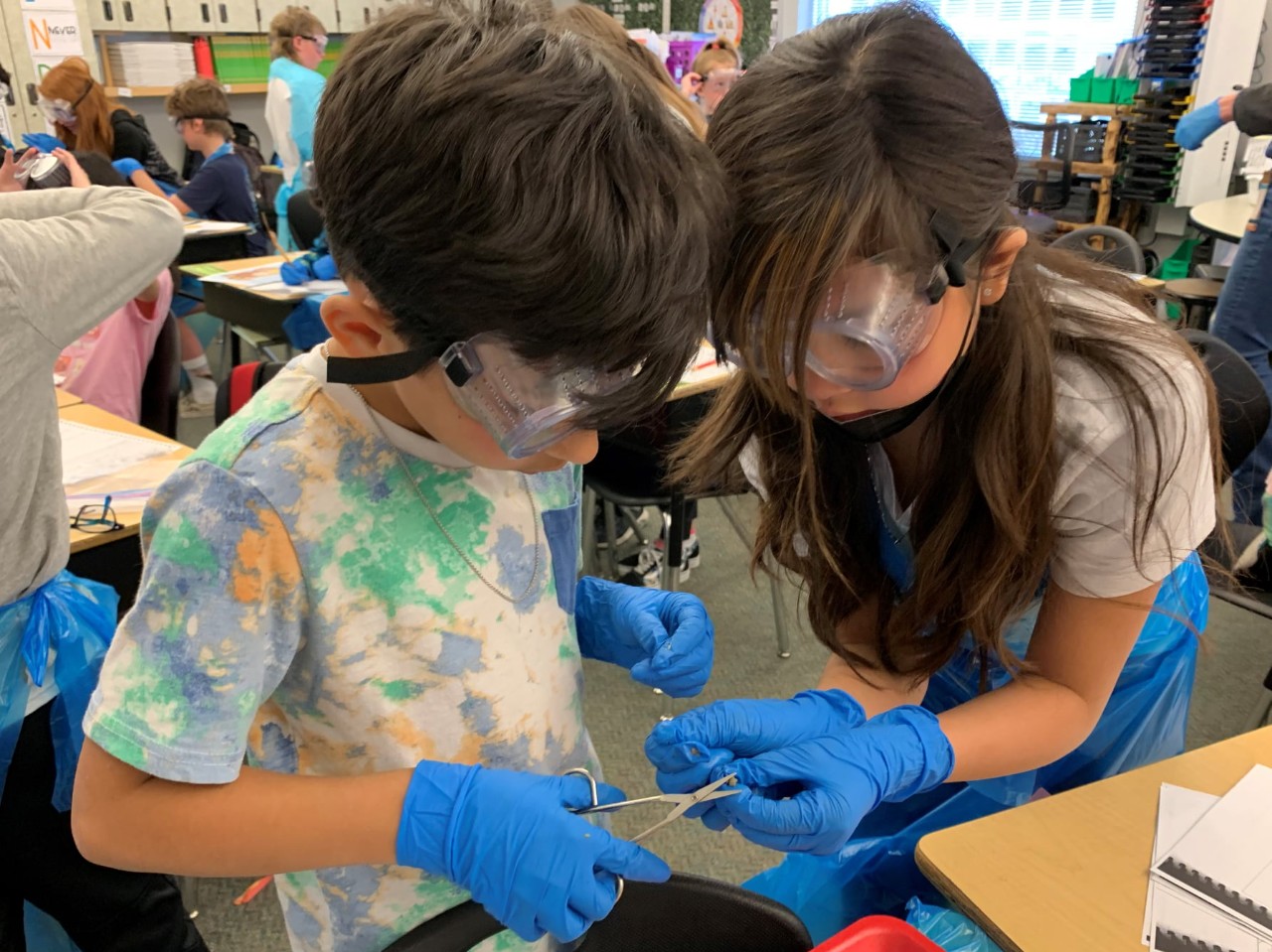 Students in a science class wearing gloves and safety goggles