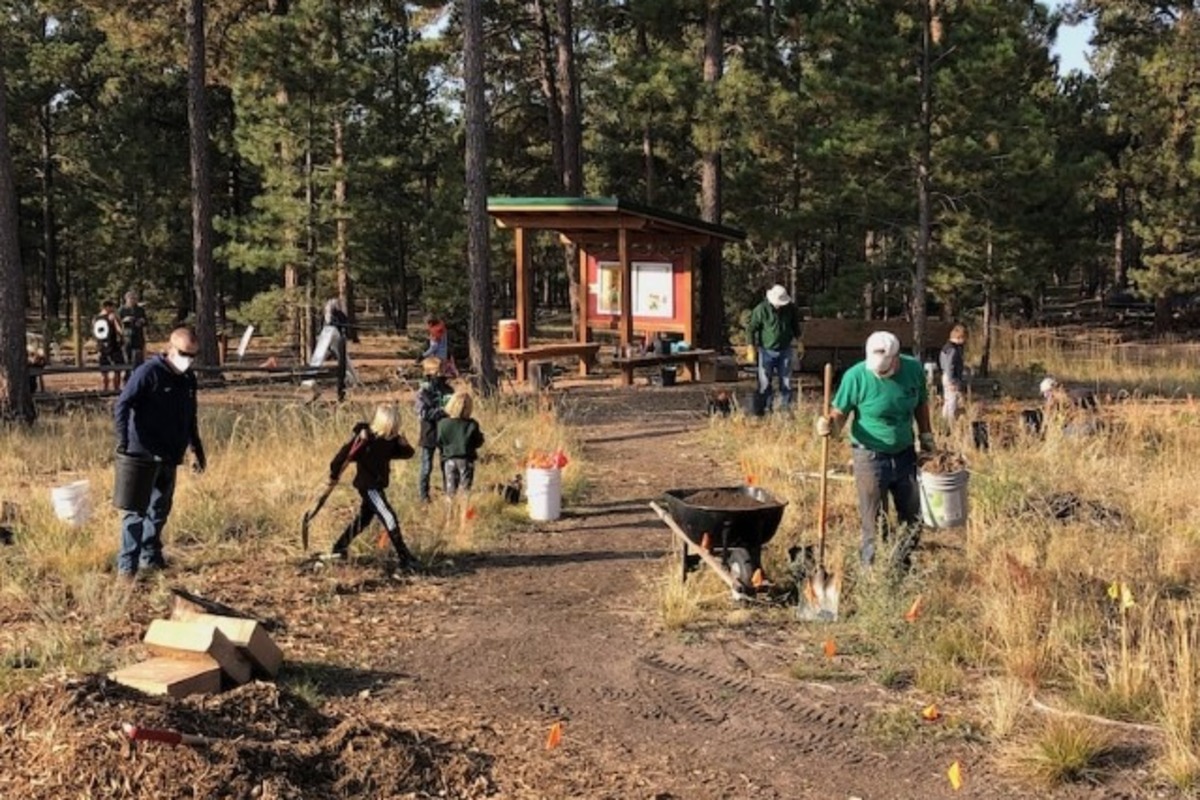 Students with shovels studying in the field.