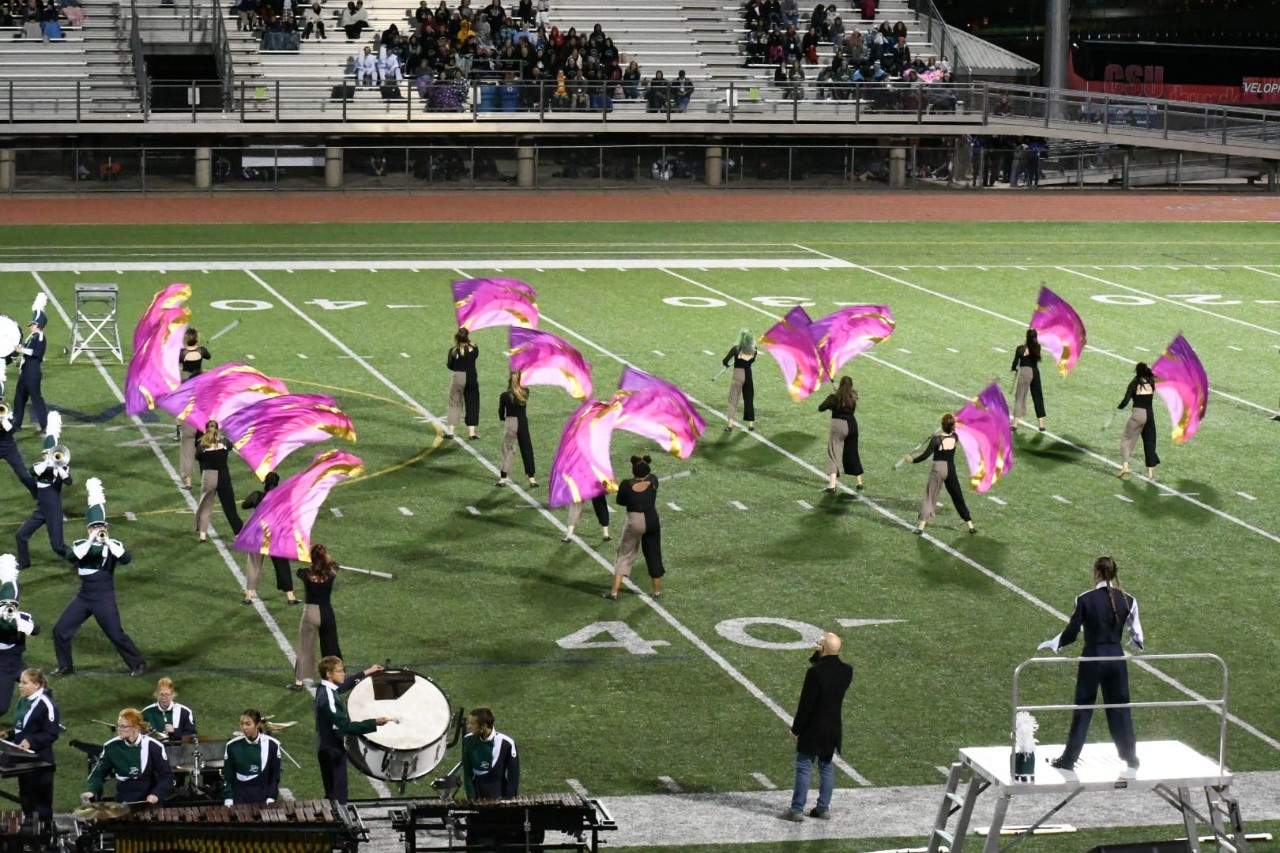 Color Guard waives purple and pink flags during performance